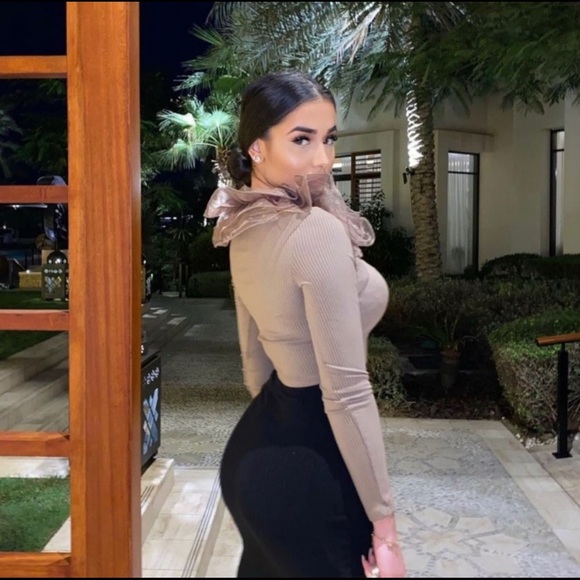 ZARA BROWN ORGANZA LONG SLEEVE TOP SIZE M - Picture 4 of 6